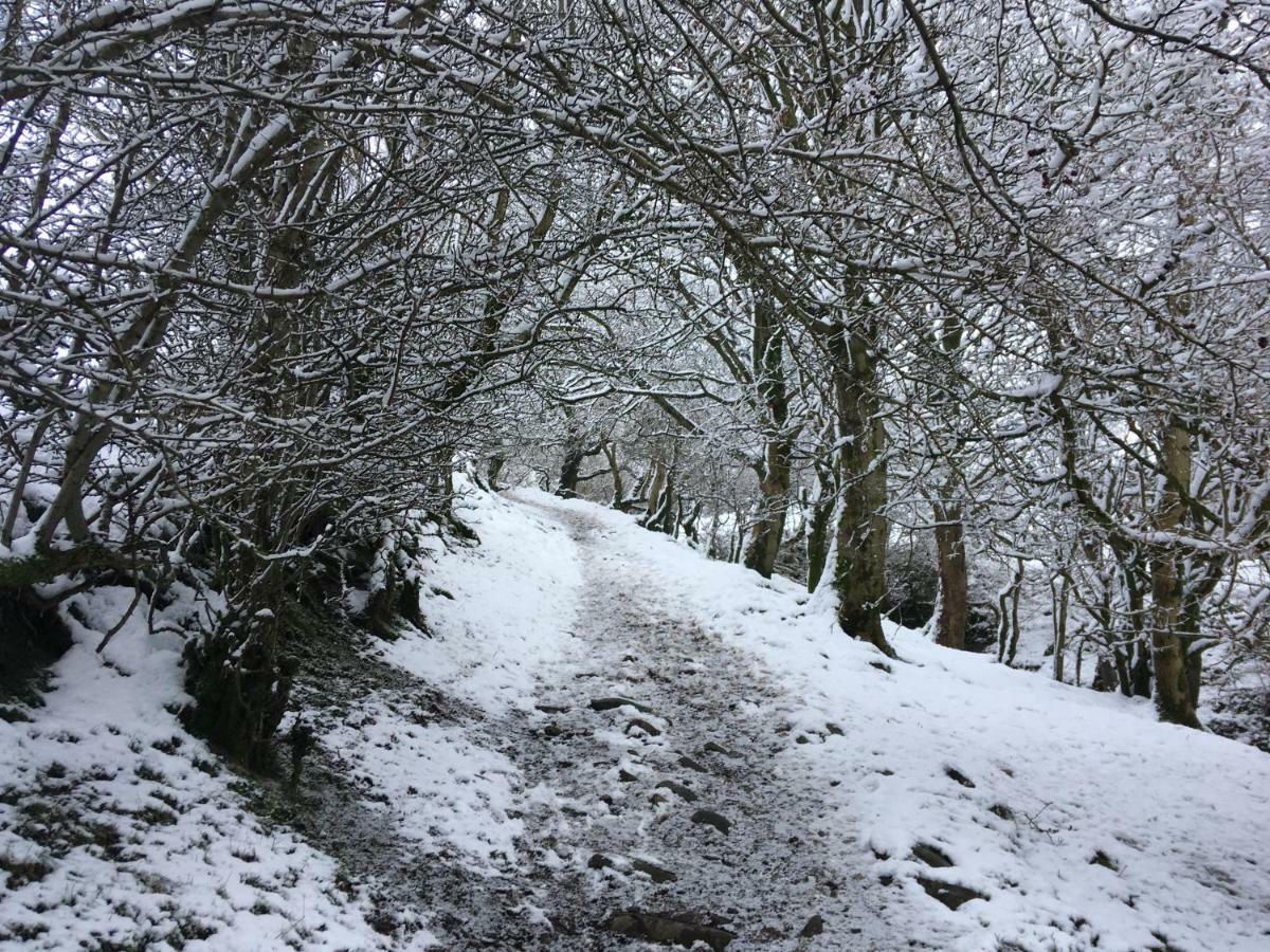 La'Al Yam Villa Sedbergh Kültér fotó